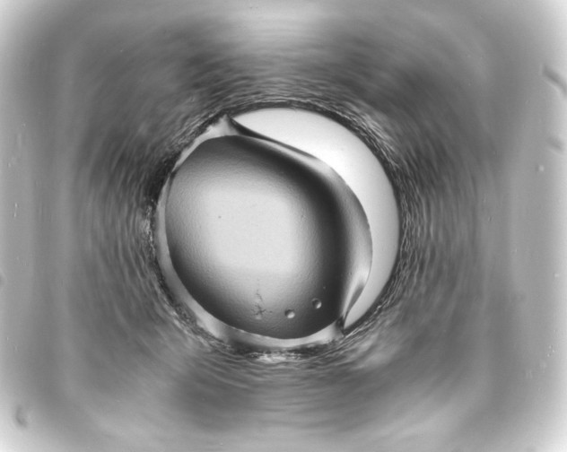 X0000093730415200710301047