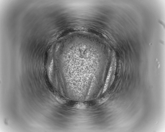 X0000093730416200710301047