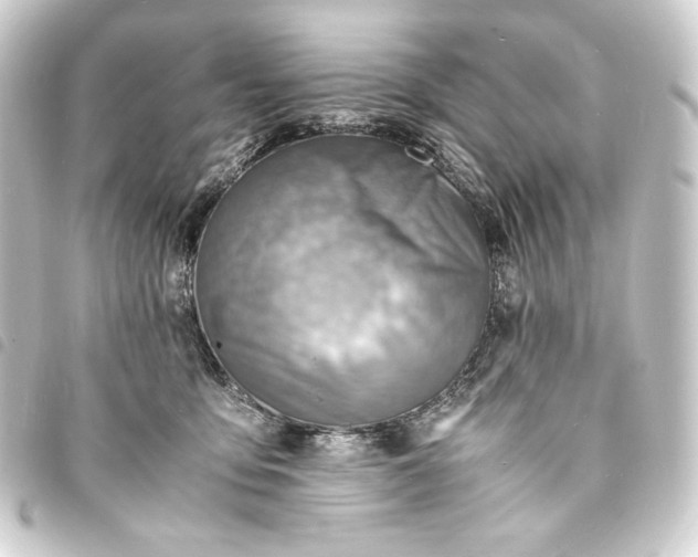 X0000093730419200710301047