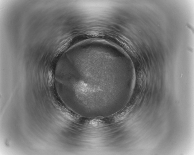 X0000093730420200710301047