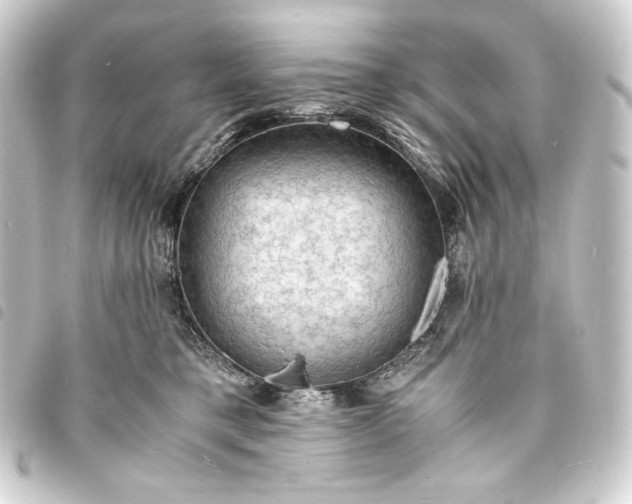 X0000093730421200710301047