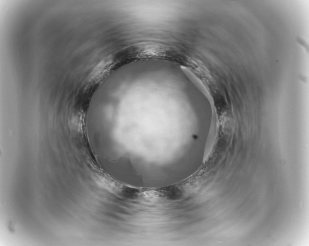 X0000093730423200710301047