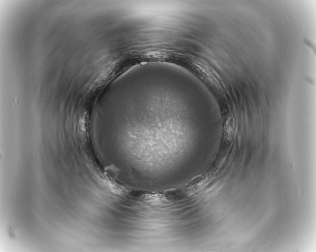 X0000093730424200710301047