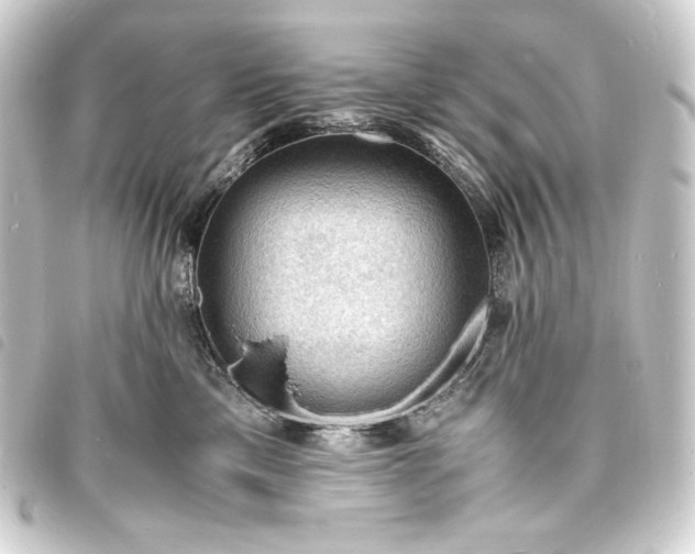 X0000093730425200710301047