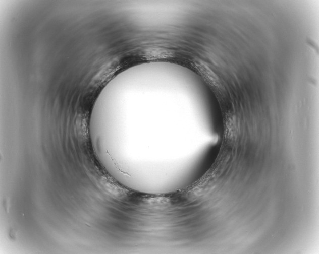 X0000093730426200710301047