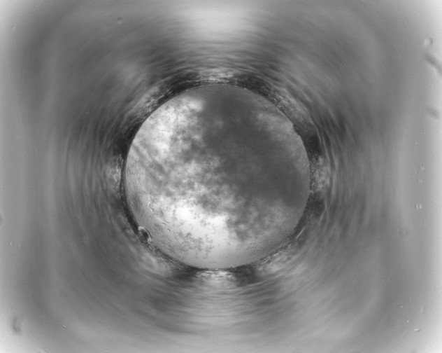 X0000093730427200710301047