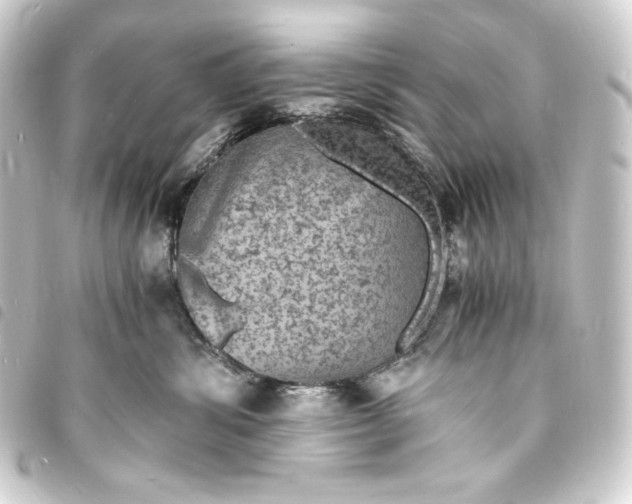 X0000093730428200710301047