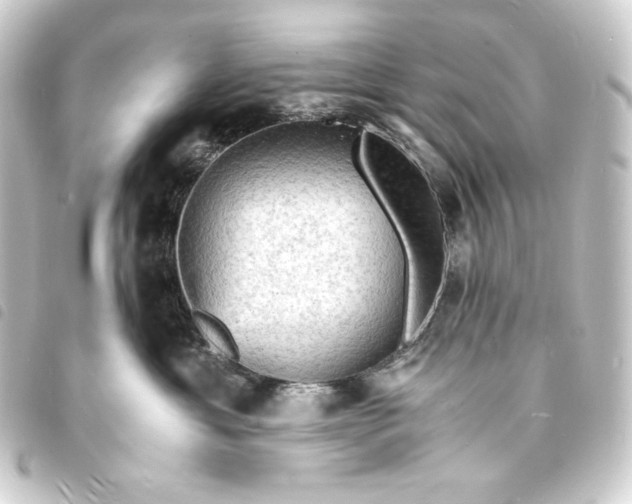 X0000093730429200710301047