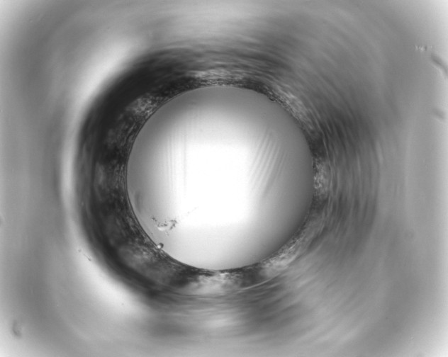 X0000093730430200710301047