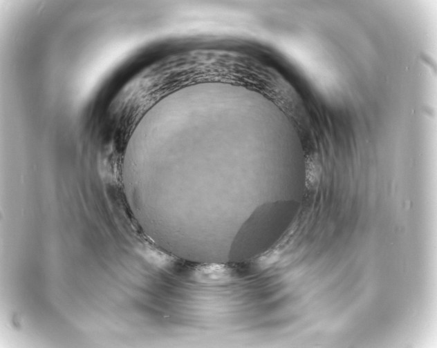 X0000093730431200710301047