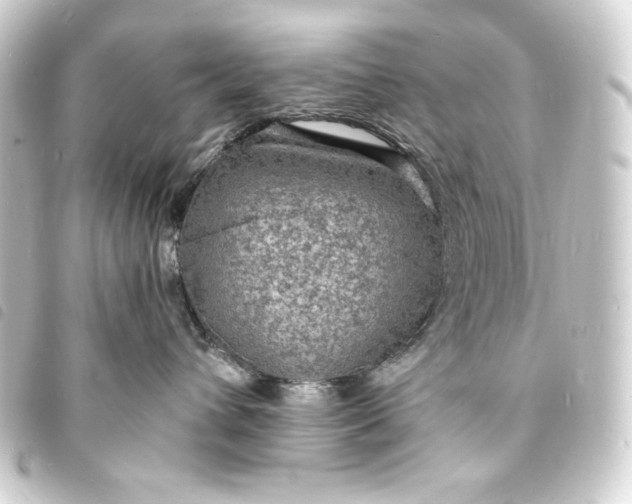 X0000093730432200710301047