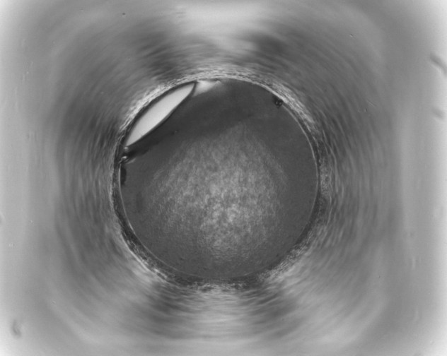 X0000093730434200710301047