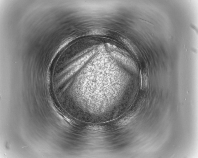 X0000093730435200710301047