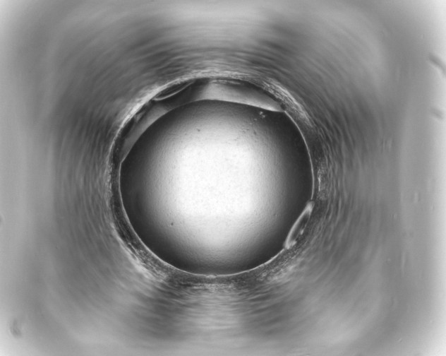 X0000093730436200710301047