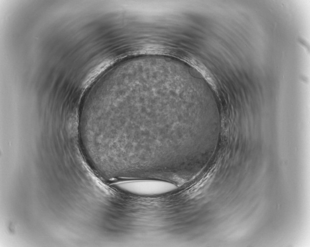 X0000093730437200710301047