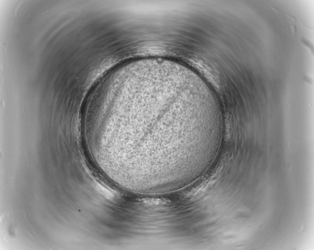 X0000093730439200710301047