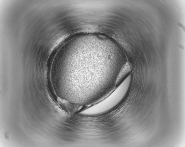 X0000093730440200710301047