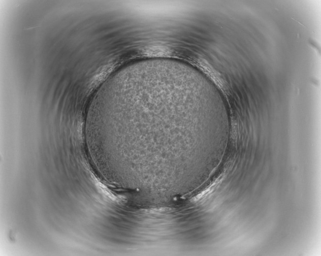 X0000093730441200710301047