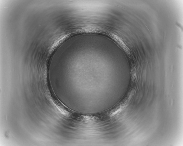 X0000093730442200710301047