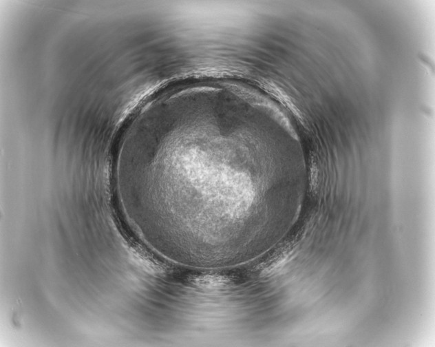 X0000093730444200710301047