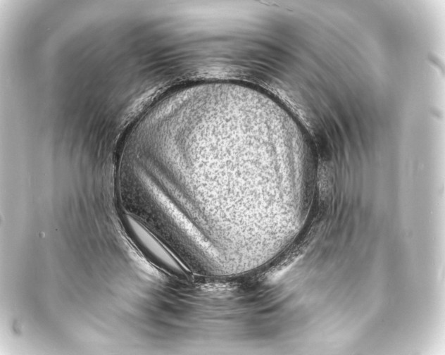 X0000093730445200710301047