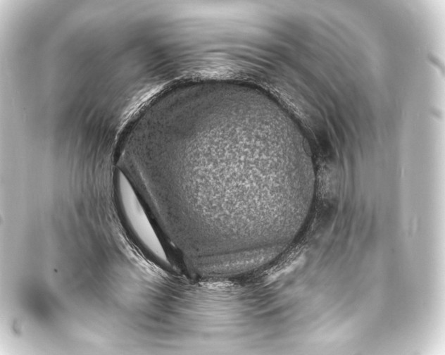 X0000093730446200710301047