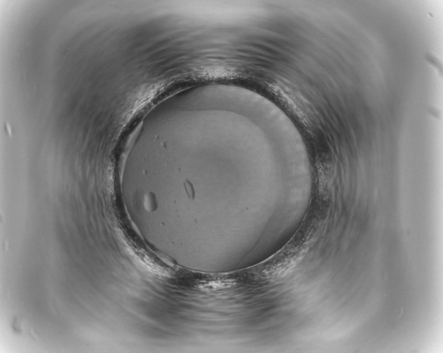 X0000093730447200710301047