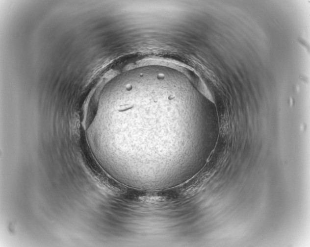 X0000093730448200710301047