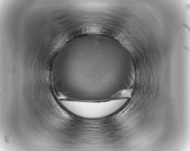 X0000093730449200710301047