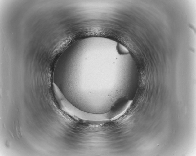 X0000093730450200710301047