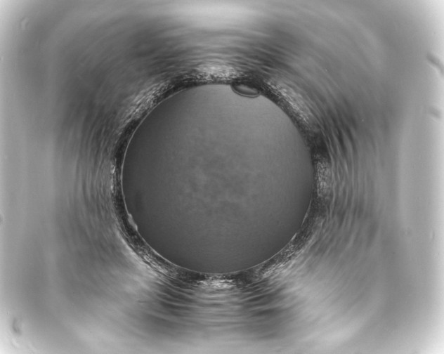 X0000093730451200710301047