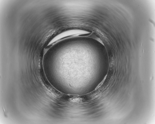 X0000093730452200710301047