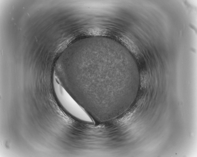 X0000093730453200710301047