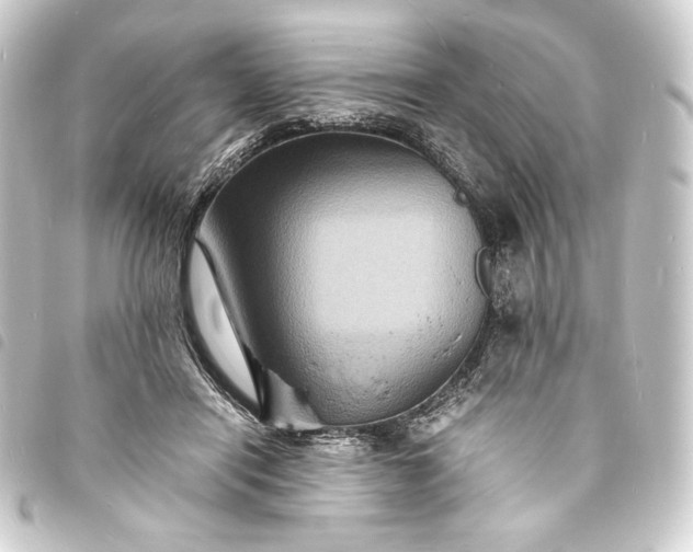 X0000093730454200710301047