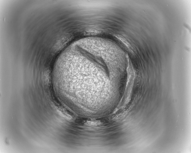 X0000093730455200710301047