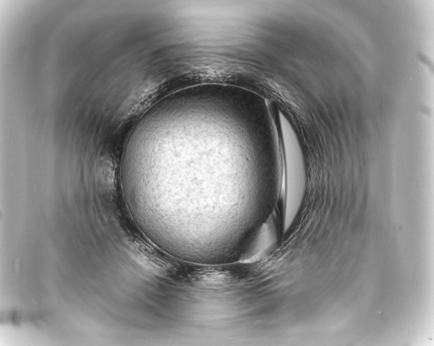 X0000093730456200710301047