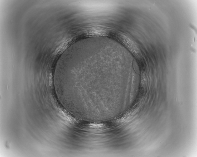 X0000093730457200710301047