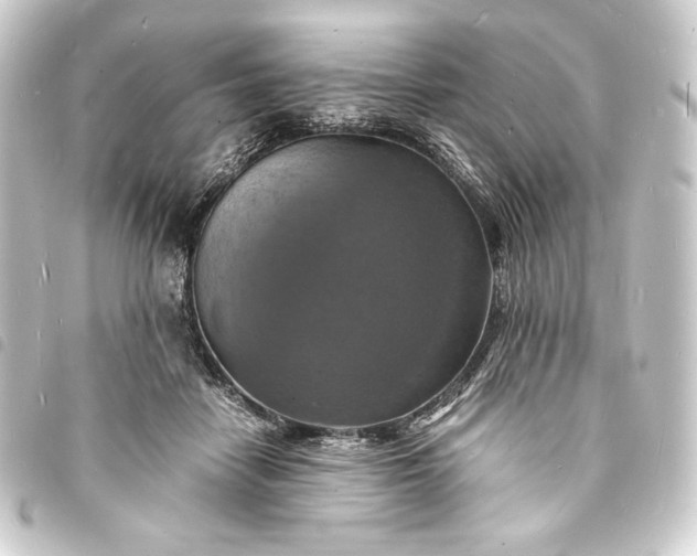 X0000093730458200710301047