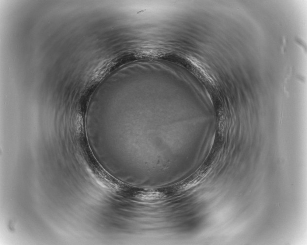 X0000093730459200710301047