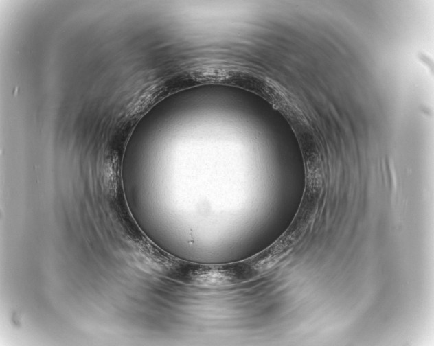 X0000093730460200710301047