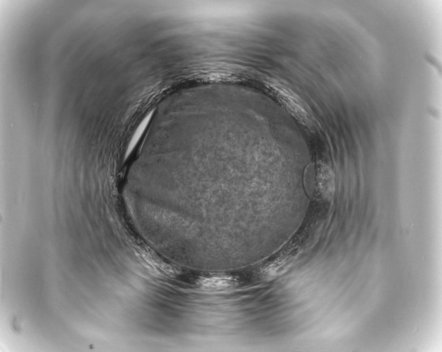 X0000093730461200710301047