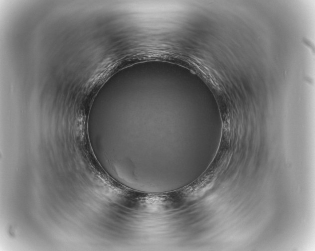 X0000093730462200710301047