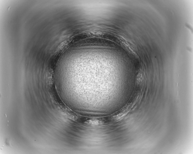 X0000093730464200710301047