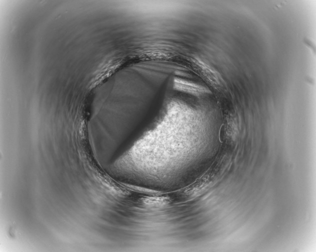 X0000093730465200710301047