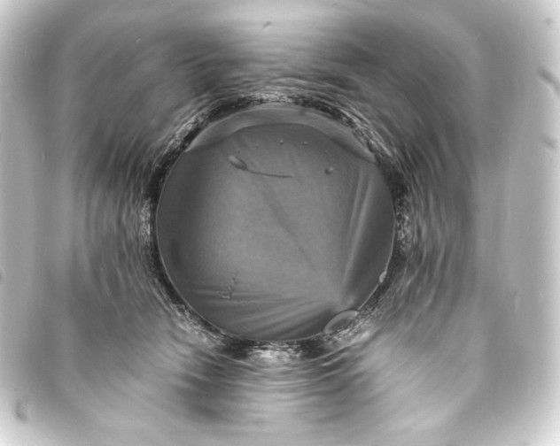 X0000093730466200710301047