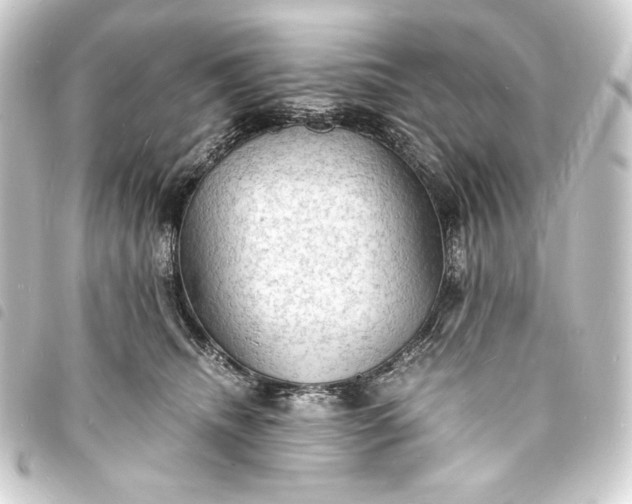 X0000093730468200710301047