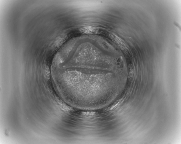 X0000093730469200710301047