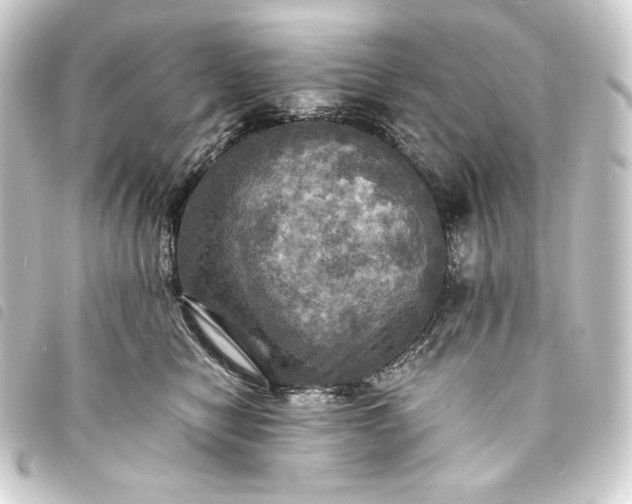 X0000093730470200710301047