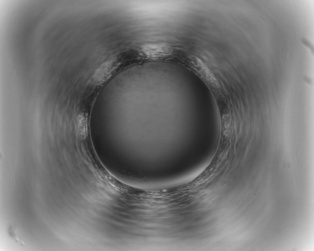 X0000093730471200710301047