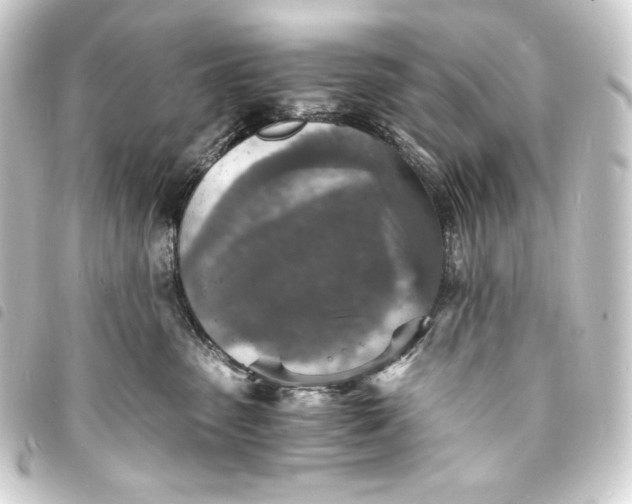 X0000093730475200710301047